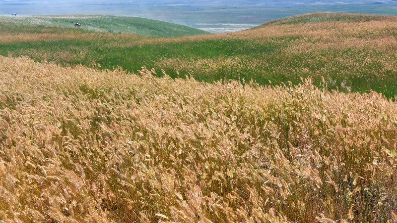 Southern Saskatchwan Road Trip across grassland